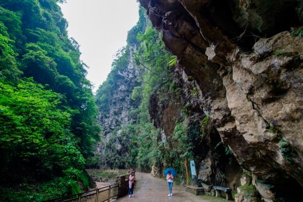 盘点发条音乐红迪网平台